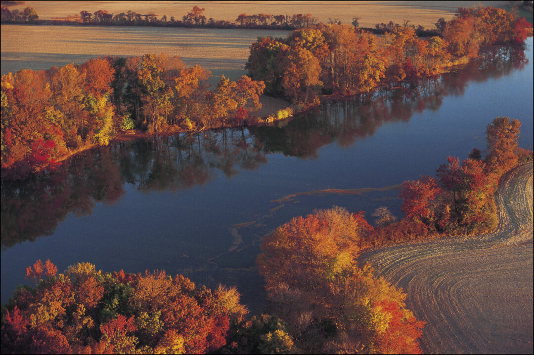 Autumn at Taylor's Gut