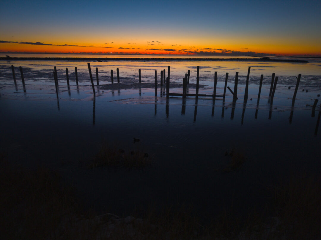 Mispillion Pilings 0020